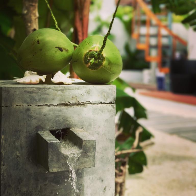 Veli Vilaa Dhiffushi Exterior photo
